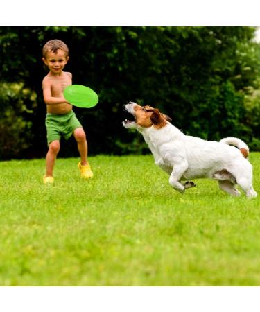 Buy Wellxunk Dog Frisbees - 2-Piece Rubber Dog Toys 22 cm for Training & Play (Green + Orange) - Perfect for Land & Water - Buy Online on GoSupps.com