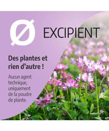 Alfalfa 200mg - 200 capsules - Buy Online on GoSupps.com