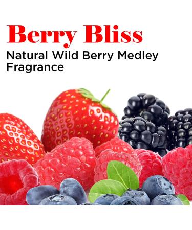 GROOMER ESSENTIALS Berry Bliss Cologne - 8 oz | Refreshing Pet Fragrance - Buy Online on GoSupps.com