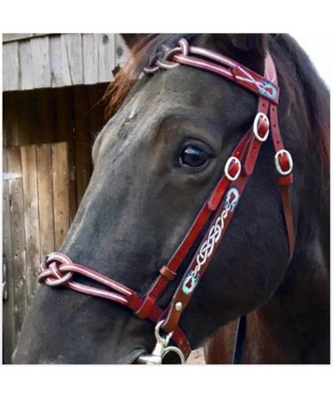English Horse Bridle - Adjustable Leather Noseband | Red Horse Accessories for Racing & Equestrian Equipment - Buy Online on GoSupps.com