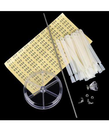 BNG Nail Color Wheel Display 120pcs - Professional Fan-shaped Nail Art Polish Chart with Spiral Stand - Salon Quality Nail Display Tips - Buy Online on GoSupps.com