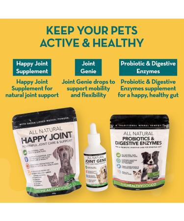The Healthy Dog Co Joint Supplements for Dogs with Turmeric - 100ml - Buy Online on GoSupps.com