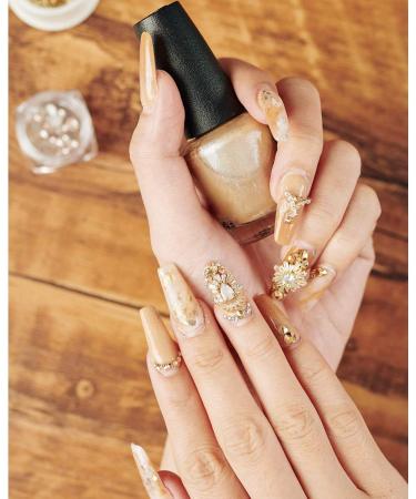 4300 Flat Back Nail Art Rhinestones Set with Storage Box & Picking Pen - Champagne | 6 Sizes (2-6.5mm) for DIY Crafts - Buy Online on GoSupps.com