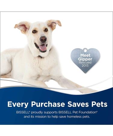 Bissell Pawsitively Clean Pet Stain & Odor Eliminator 32oz - With Gain & Febreze 1931 - Pet-Friendly Formula - Buy Online on GoSupps.com