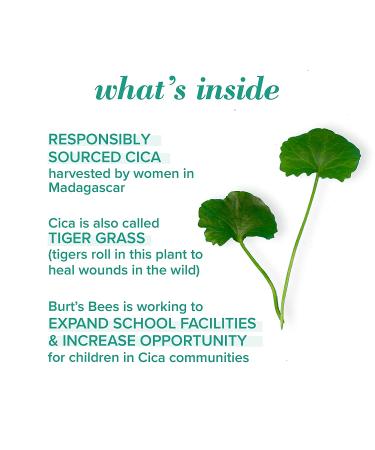 Burt's Bees Natural Acne Solutions Spot Treatment 0.26 fl oz - Targeted Acne Relief - Buy Online on GoSupps.com