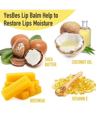 YesBes 32 Pack Lip Balm Natural Lip Balm Bulk with Vitamin E and Coconut Oil Moisturizing Lip Balms for Dry Cracked Lips Lip Balms for Valentines Gifts Stocking Stuffers - 8 Flavors - Buy Online on GoSupps.com