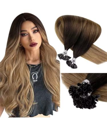 LAAVOO U Tips Extensions Real Hair Ombre Blond Hair Grossing Real Hair Extensions Keratin Bonding 1g/S Bonding Extensions Real Hair #2/6/18 Dark Brown Balayage Ashblond 50s 35cm 1-29 U Tip #2/6/18
