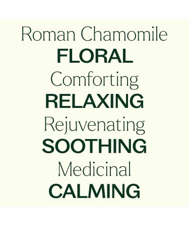 Buy 100% Pure Roman Chamomile Essential Oil - Natural Aromatherapy Therapeutic Grade 5 mL - Plant Therapy - Buy Online on GoSupps.com