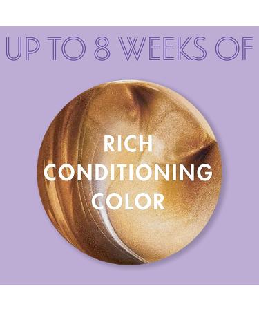 Dark and Lovely Fade Resistant Rich Conditioning Color No. 380 - Chestnut Blonde | International Shipping Available - Buy Online on GoSupps.com