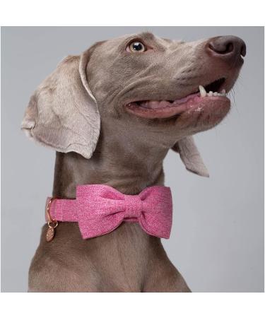 Dogwong Pink Dog Collar with Removable Fly | Adjustable & Comfortable Pet Collar for Small to X-Large Dogs | Perfect Gift for Boys & Girls - Buy Online on GoSupps.com
