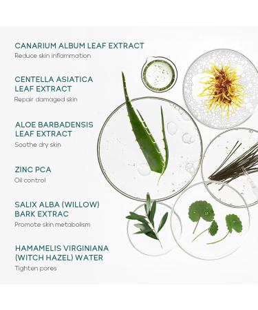 Tea Tree Skincare Set Gifts For Women & Men Acne Treatment Tea Tree Oil Spot And Blackheads Remover Includes-Cleaner Face Serum Acne Gel Toner moisturiser For Acne Removal Oil Control - Buy Online on GoSupps.com