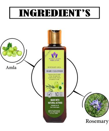 Blessfull Healing Organic Rosemary Amla Hair Cleanser | Shampoo 200 ML (Packing May Vary) 200 ml (Pack of 1) - Buy Online on GoSupps.com