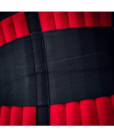 Cerberus Neoprene Back Support Belt - 7mm Ultimate Comfort & Support for Pain Relief | International Shipping Available - Buy Online on GoSupps.com
