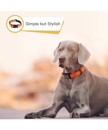 Heele Dog Collar - Soft Padded Neoprene Nylon Adjustable Reflective Collar for Small & Medium Dogs - Training Orange L (40-66 cm) - 1 Pack - Buy Online on GoSupps.com