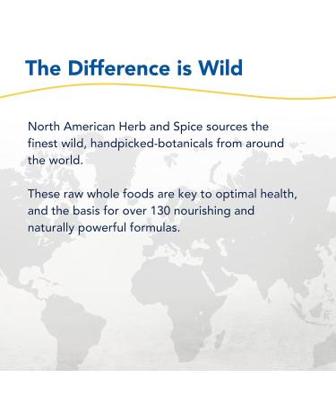 North American Herb & Spice LivaLatte - 3.5 oz. - Chaga Maca & Birch Bark Drink Mix - Healthy Liver Gallbladder & Kidney Function Digestive Support Optimal Health - Non-GMO - 36 Servings - Buy Online on GoSupps.com