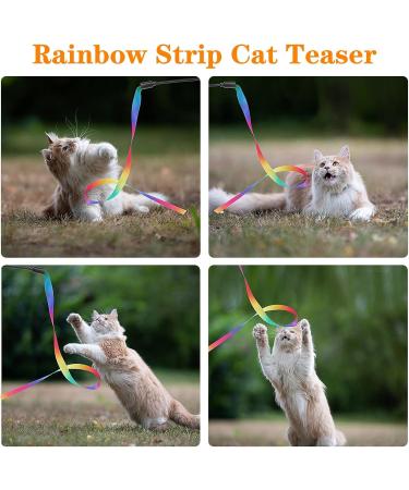 Molain Interactive Cat Toys - 5-Piece Rainbow String Set for Kittens | Engaging Indoor Pet Toys for Training - Buy Online on GoSupps.com