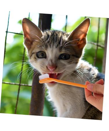 FOMIYES 30 pcs Clean Cat Puppy Tooth Portable Nylon Dual-head Handheld Teeth Cleaning for Supplies Brush 1 count (Pack of 1) Assorted Colorx3pcs - Buy Online on GoSupps.com