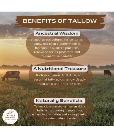 Untamed Organics Pure Tallow Lip Balm | 100% Grass-Fed Beef Tallow and Organic Beeswax | Moisturizing Lip Care for Dry Chapped Lips | Hypoallergenic Fragrance-Free | Handcrafted in USA | 4-Pack - Buy Online on GoSupps.com