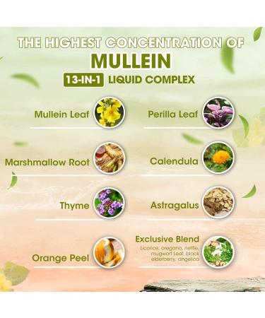 Mullein Drops for Lungs Mullein Leaf Extract with Marshmallow Root Perilla & Astragalus for Respiratory Support Immune Boost & Lung Detox Natural Herbal Formula Vegan 2 fl oz 2 Fl Oz (Pack of 1) - Buy Online on GoSupps.com