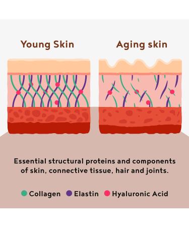 Alpha Foods Chocolate Collagen Powder with Hyaluronic Acid 450g - Amino Acid Supplement - Type I II & III Hydrolysed Bovine Collagen - Chocolate Flavour for Women - Buy Online on GoSupps.com