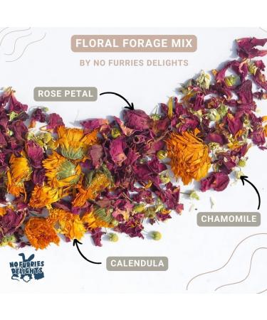 No Furries Delights Forage Mix 100% All Natural Botanical Herbs for Rabbit Hamster Guinea Pig Chinchilla Chicken Hermit Crab (Floral Forage Mix 25g) Floral Forage Mix 25 g (Pack of 1) - Buy Online on GoSupps.com