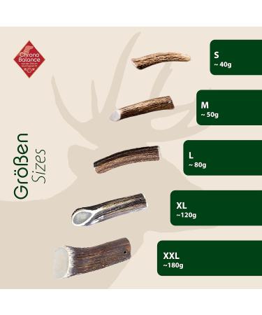 Chronobalance M Dental Care Causbie for Dogs - 2 Halved 100% Deer Antler Chewing Bones | Sustainable Dog Toys for Dental Hygiene - Buy Online on GoSupps.com