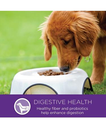 Wellness Complete Health Small Breed Dry Dog Food - Natural Turkey Recipe, 4lb for Puppies, Adults & Seniors | Made in USA - Buy Online on GoSupps.com