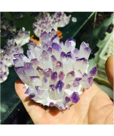 Natural Crystal Rough Natural Crystal Cluster Amethyst Specimen Ore Purple Quartz Reiki Stone Raw Crystal Home Decor Decoration (Size : 500-600) - Buy Online on GoSupps.com