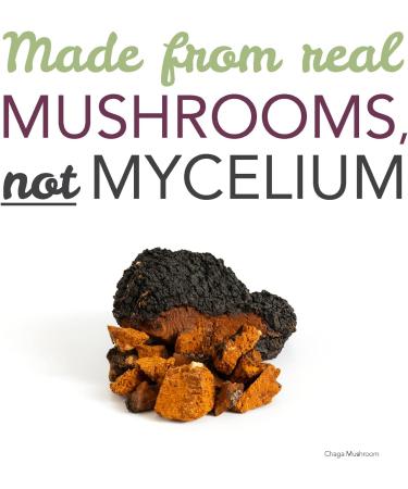 St. Francis Herb Farm Chaga Mushroom Capsules | 100% Pure | High Potency | Immune Booster | Fruiting Body | High in Beta Glucans | 60 Vegicaps - Buy Online on GoSupps.com