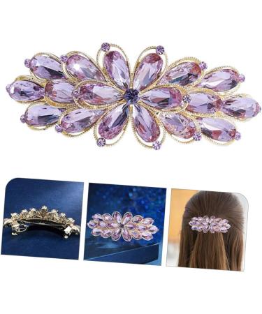 HAPINARY Rhinestone Spring Hair Accessories Vintage Hair Accessories Crystal Hair Clips Hair Claw Clips for Girls Wedding Hair Clip Purple Miss Alloy Big Hairpin Delicate - Buy Online on GoSupps.com