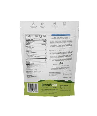 BranchOut Vegan Banana Powder Mix - 100% Pure Smoothie Blend | Rich in Fiber & Potassium | No Added Sugar | Ideal for Baking | 7 oz Pack - Buy Online on GoSupps.com