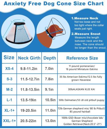 Super Collar for Pets | Protective Neck Collar for Cats & Small Dogs XXL | White Plastic Design - Buy Online on GoSupps.com