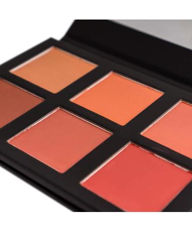 SHANY Shimmer & Matte Powder Blush Makeup Palette with Mirror - BLUSH - Powder Blush - Buy Online on GoSupps.com