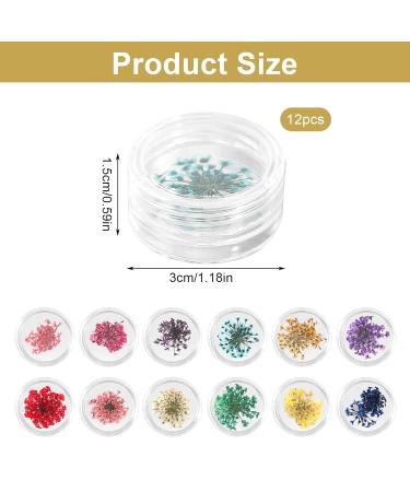 12 Boxes Dried Flowers for Nail Art | Nail Decorations & Flower Kit for Stunning Nail Designs - Buy Online on GoSupps.com