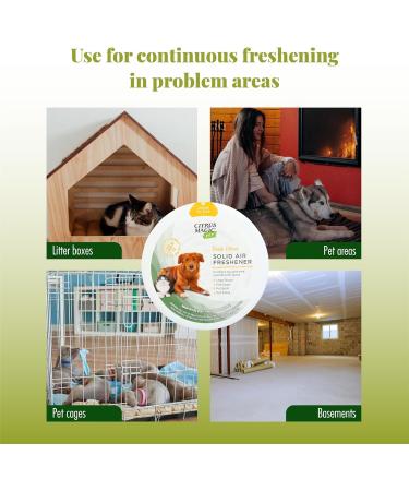 Citrus Magic Pet Odor Absorbing Solid Air Freshener for Home Air Purifier Fresh Citrus Must have Pet Supplies 8 Oz (Pack of 3) - Buy Online on GoSupps.com