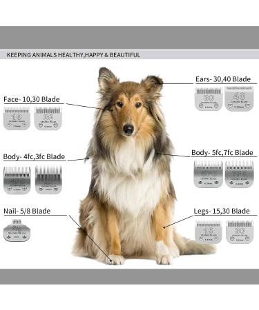 BESTBOMG 2 Pack Dog Grooming Replacement Blades Compatible with Heiniger/Moser Max45/Andis/Oster A5 Dog Clippers Size 40# 1/100" (0.25mm) Cutting Length 12 UK S - Buy Online on GoSupps.com