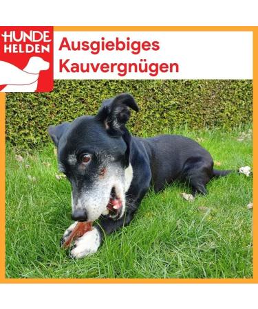 BREERs Dried Calf Hooves for Dogs - 25 Pieces | Premium Chewing Treats from Germany - Healthy Chews for All Ages - Buy Online on GoSupps.com