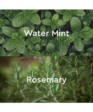 Kneipp Herbal Bath Oil Goodbye Stress Water Mint & Rosemary 3.38 Fl Oz - 1 Pack - Buy Online on GoSupps.com