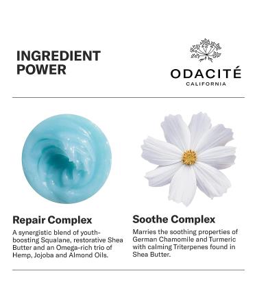ODACITE Le-Blue Balm Repair Balm - Blue Chamomile & Shea Butter Face Moisturizer for Mature, Dry, or Sensitive Skin - Buy Online on GoSupps.com