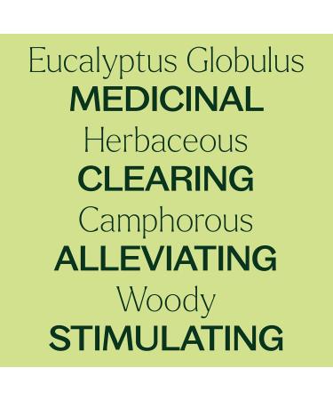 Buy 100% Pure Eucalyptus Globulus Essential Oil 10 mL - Therapeutic Grade for Diffuser Skin & Hair Aromatherapy DIYs | International Shipping - Buy Online on GoSupps.com