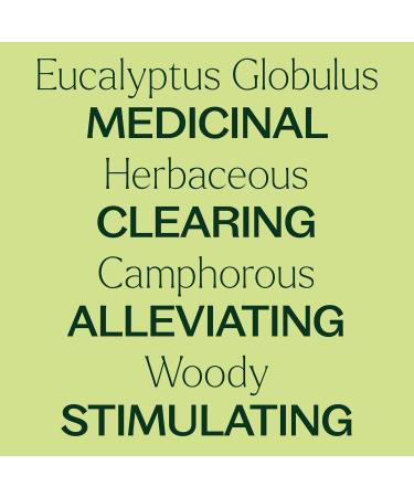 Plant Therapy Organic Eucalyptus Globulus Essential Oil | 100% Pure USDA Certified Therapeutic Grade Aromatherapy | 100 mL (3.3 oz) - Fast International Shipping - Buy Online on GoSupps.com