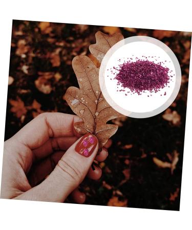 Mikinona Nail Gems 1 Glass Chip Nail Chunky Flakes Colored Glass Colored Bear Garden Ornament Bulk Chips Bulk Flower 3d Crystal Punk Accessories Crushed Charm Jewelry Drill 0.5X0.3cm Rosy - Buy Online on GoSupps.com