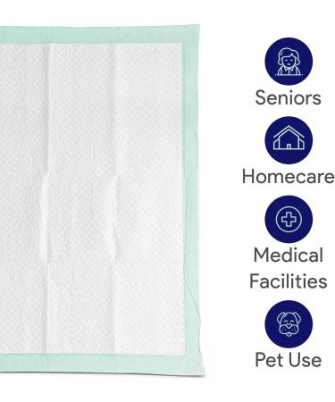 Premium Disposable Chucks Underpads 10 Pack  30" x 36" - Highly Absorbent Bed Pads for Incontinence and Senior Care - Green Color - Leak Proof Protection 10 Count (Pack of 1) - Buy Online on GoSupps.com