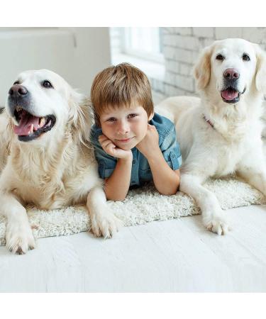 ZOVIRA Dental Plaque Remover for Dogs & Cats | Double Headed Teeth Whitening Kit | Stainless Steel | Small Puppy & Pet Friendly - Buy Online on GoSupps.com