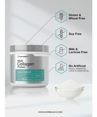Horbaach Multi Collagen Protein Powder 16 oz | Type I, II, III, V, X | Hydrolyzed Peptides | Keto & Paleo | Unflavored & Gluten Free - Buy Online on GoSupps.com