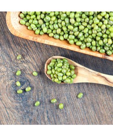Buy Organic Sprouted Mung Beans | 1kg Raw Food | Plastic-Free & Eco-Friendly Packaging | s ssundclever.de - Buy Online on GoSupps.com