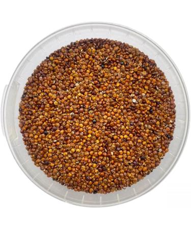 Red Quinoa - 250g - Buy Online on GoSupps.com