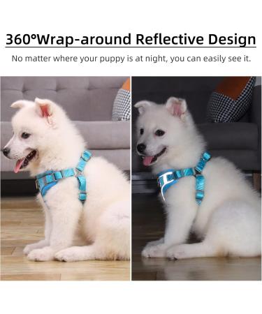 Rennaio No Pull Dog Harness & Leash Set - Adjustable Padded Chest Harness for Small & Medium Dogs - Sky Blue (M) - Breathable Design & Includes Puppy Dishes - Buy Online on GoSupps.com