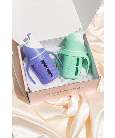 Glass Sippy Cup Set for Toddlers - 5oz - Spill-Proof Silicone Straw - Mint Green & Indigo Purple - BPA-Free - Buy Online on GoSupps.com