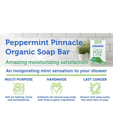 Bio-Safe Organics Peppermint Pinnacle Soap | 100% Handmade Natural Exfoliating Organic Soap Bar | Vegan & Moisturizing | 4 Oz - Buy Online on GoSupps.com